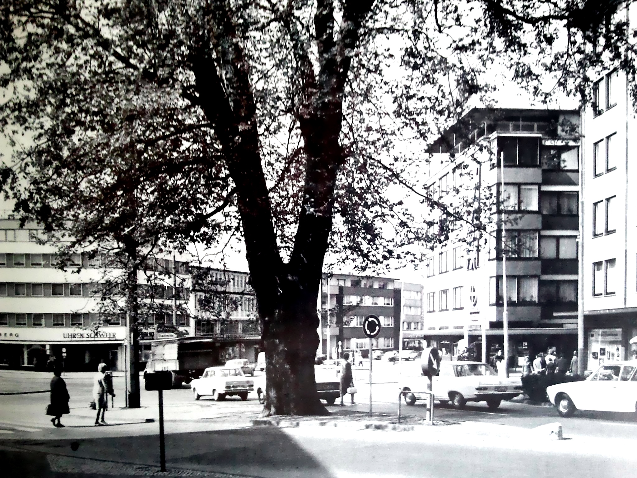 Zum weißen Rössel; Schulespielen